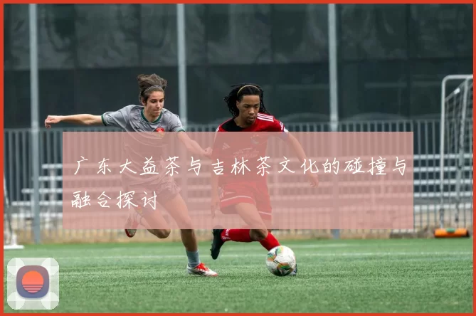 广东大益茶与吉林茶文化的碰撞与融合探讨