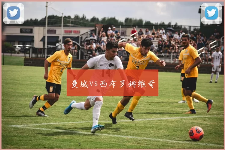 曼城vs西布罗姆维奇